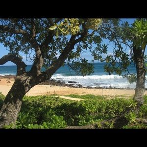 Meet your Posher, Rod